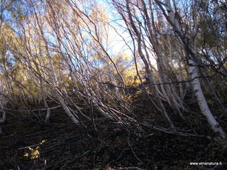 llone monte Zappinazzo-04-11-2012 10-23-12